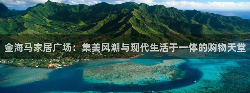 安信12级粉丝团福利