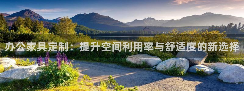 安信12级粉丝团福利