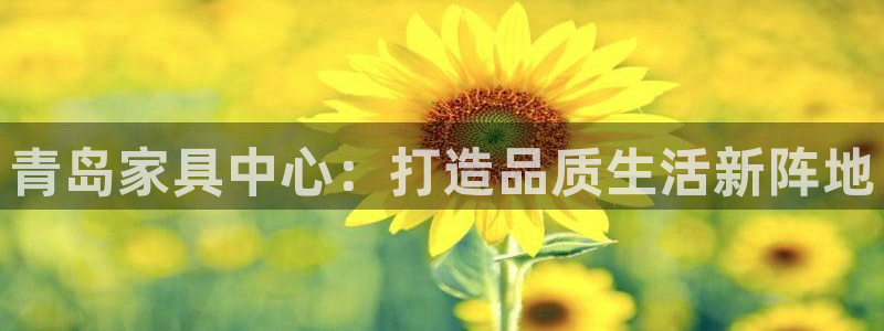 安信12靠谱吗