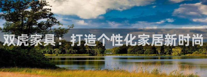 安信12级大众