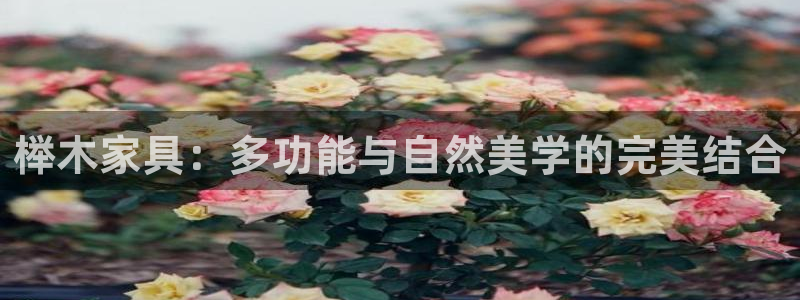 安信12主管