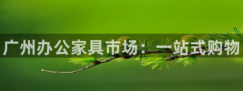 安信12娱乐开户