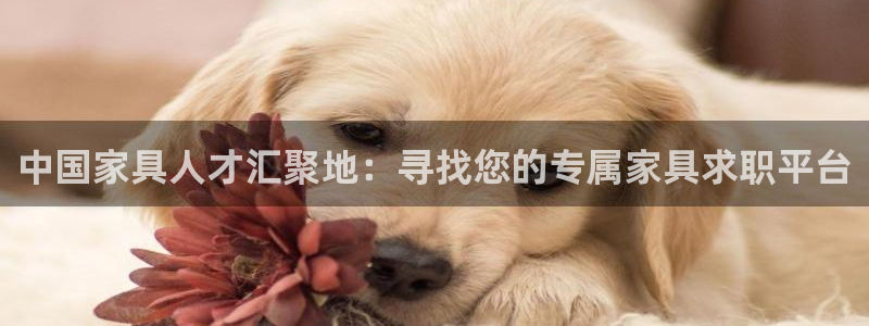 安信12平台的网址