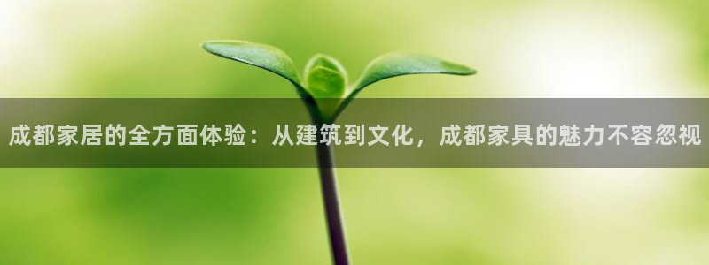 安信12主管