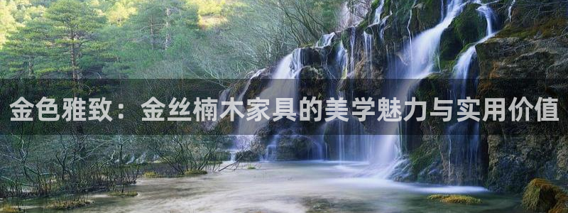 安信证券手机壳12