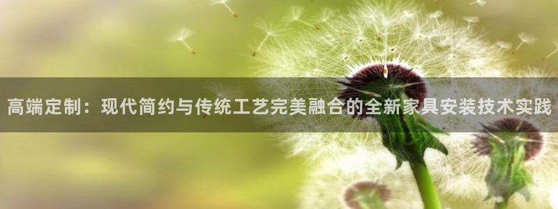 安信安翼 12账号