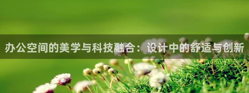 安信12级大众