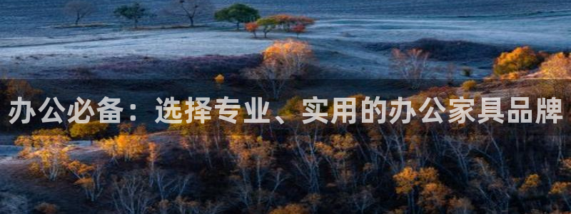 安信12账号