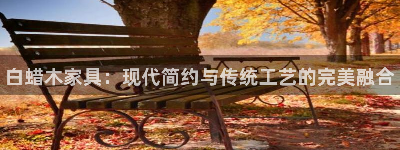 安信证券手机壳12