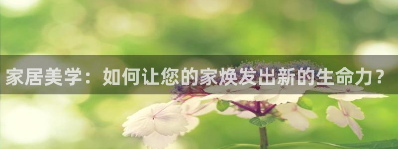 安信12是什么平台