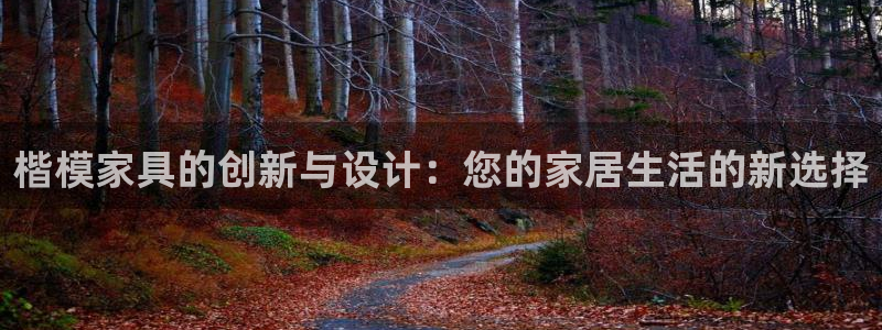 安信12主管
