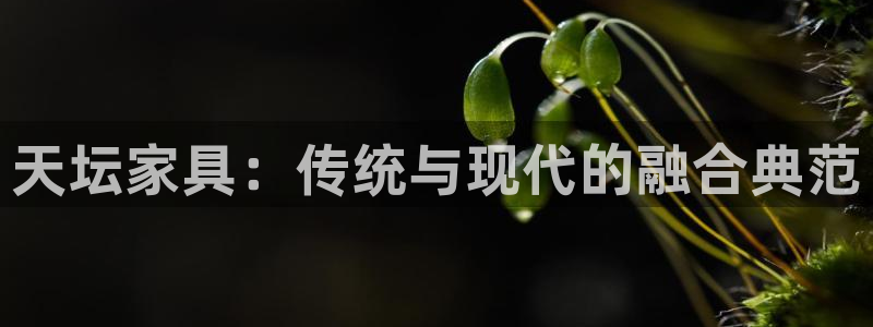 安信证券手机壳12