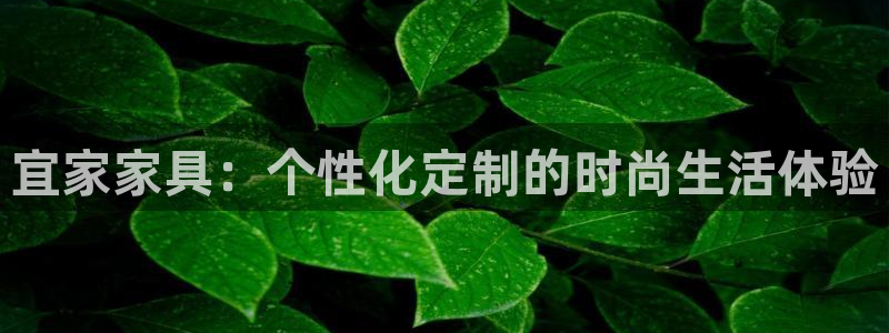 安信12娱乐