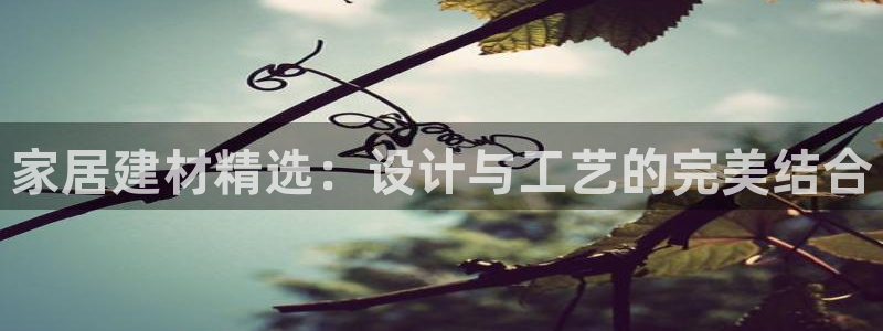 安信12赛车