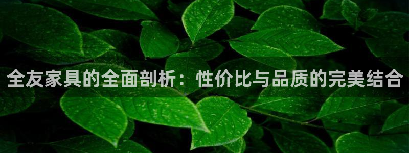 安信12彩票app下载