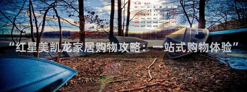 安信12娱乐招商