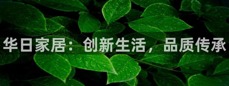 安信4娱乐去55 12：华日家居：创新生活，品质传承