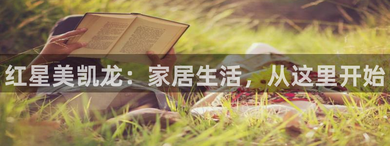 信安12：红星美凯龙：家居生活，从这里开始