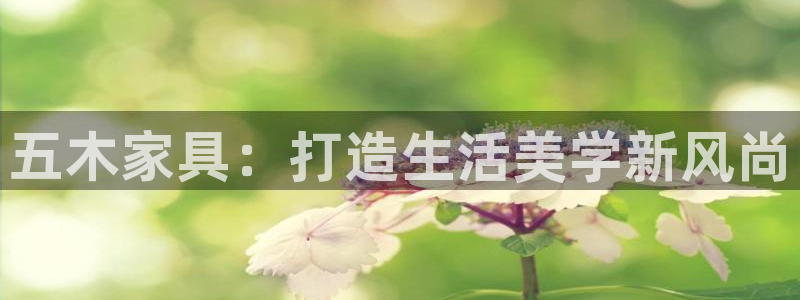 安信12想开户