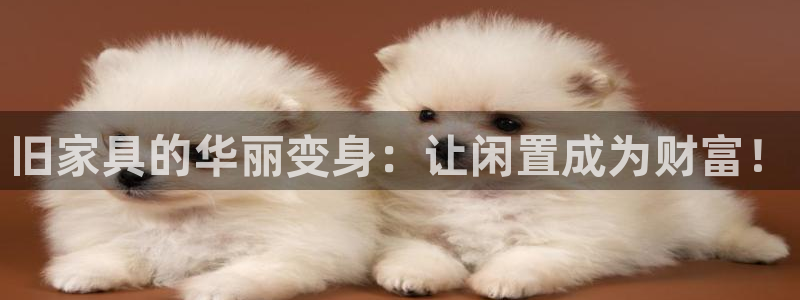 安信12级粉丝团福利