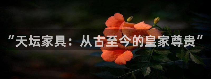 安信12是正规还是仿：“天坛家具：从古至今的皇家尊贵”
