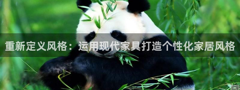 安信12级粉丝团福利