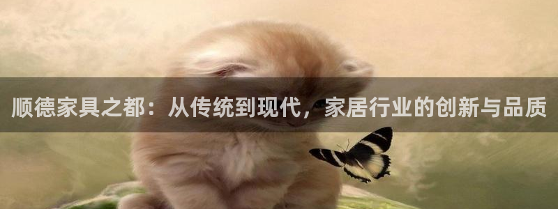 安信12注册代理