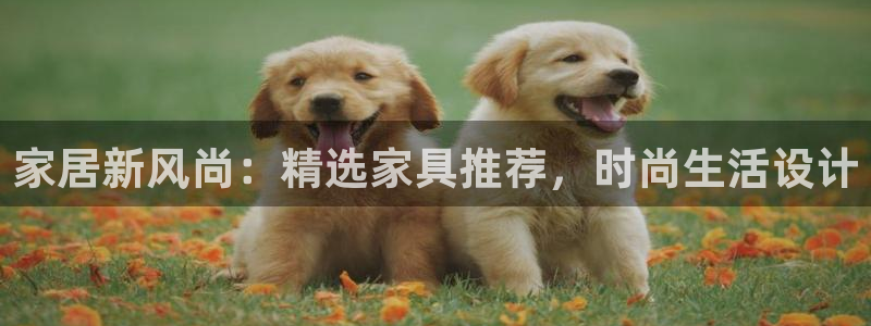 安信12是正规还是仿