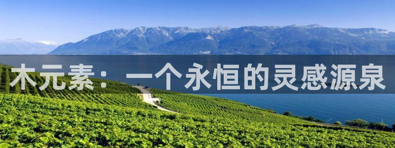 安信12平台介绍
