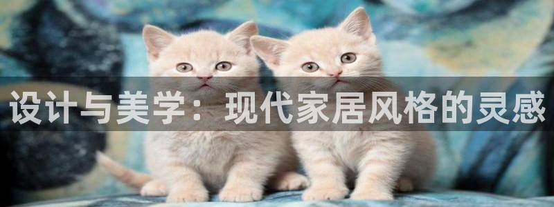 奇安信12流转场
