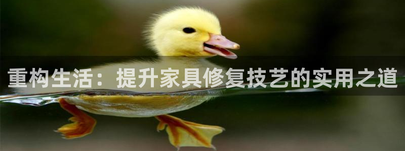 安信12平台注册