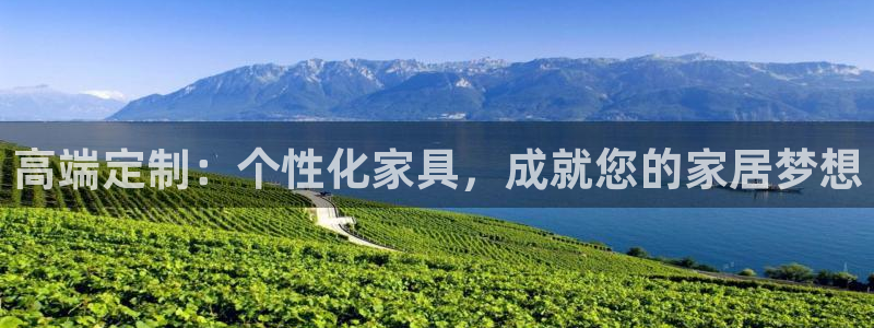 安信12是什么软件