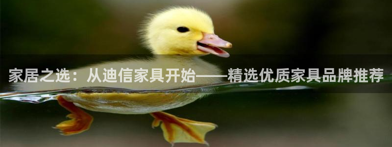 安信12娱乐招商探索空间