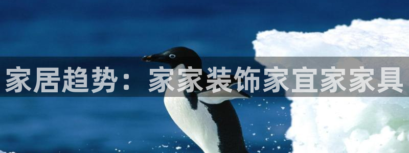 安信安赢12号