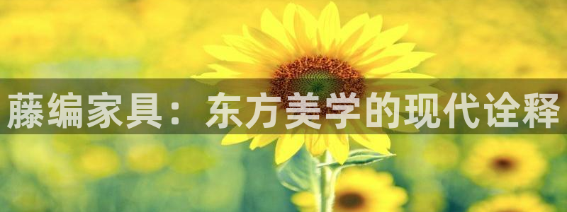 安信4娱乐去55 12