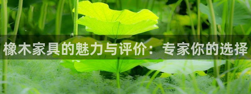 安信12级大众