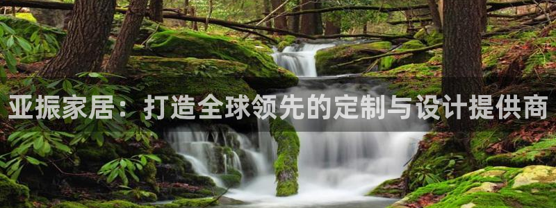 安信12包赔：亚振家居：打造全球领先的定制与设计提供商