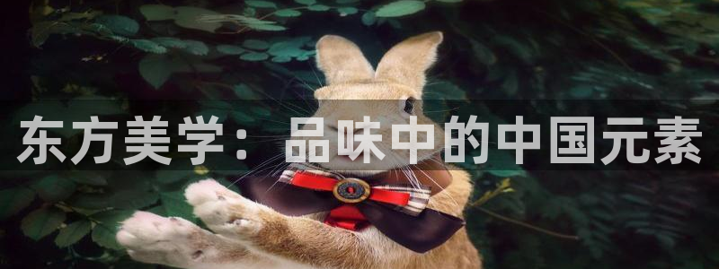 安信锐赢134号12月