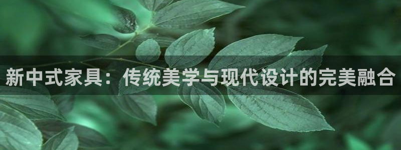 12月安信推荐