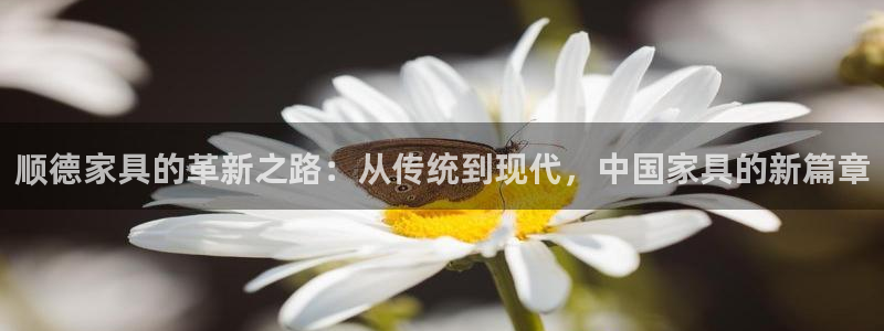 安信12负责人