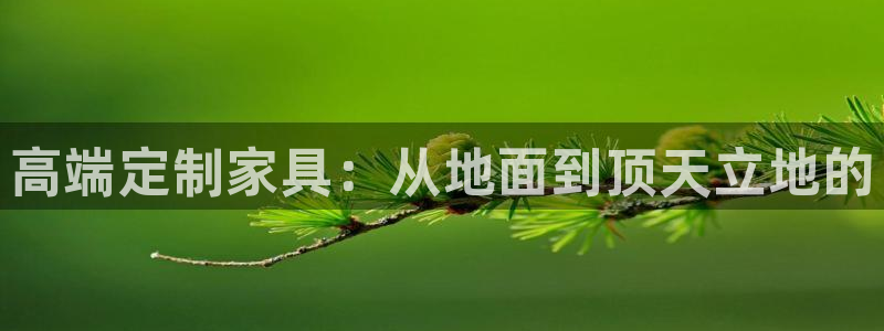 安信12平台注册