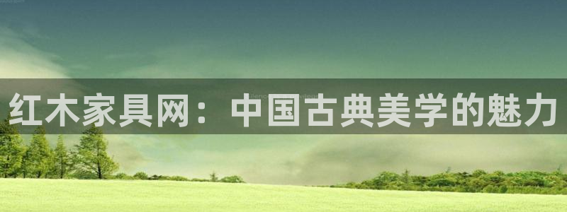 安信12娱乐主管