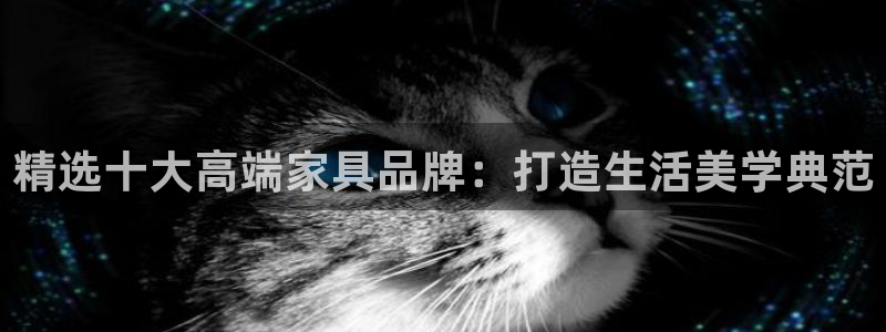 安信12位数资金号：精选十大高端家具品牌：打造生活美学典范