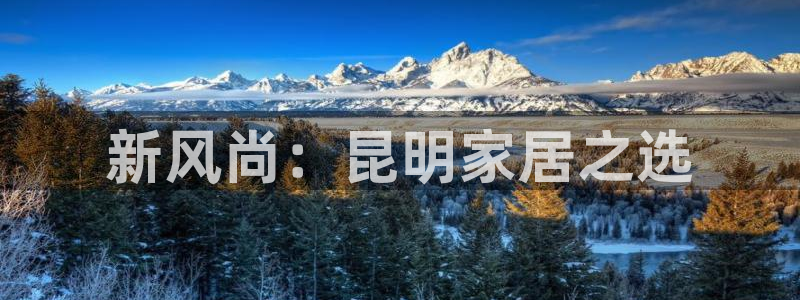 安信12位数资金号