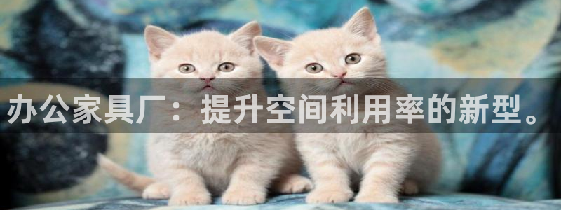 安信12娱乐注册