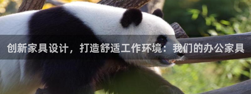 安信12注册登录下戴