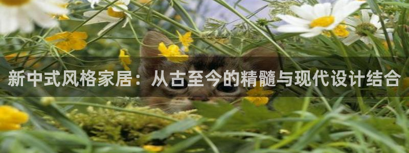 安信12正版下载