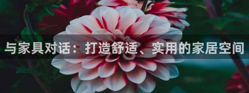 安信12平台介绍