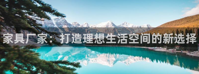 安信12是正规还是仿