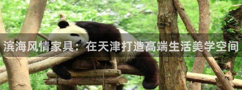 安信12是什么平台